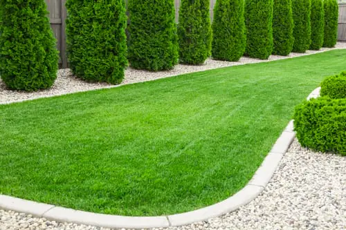 Landscaping